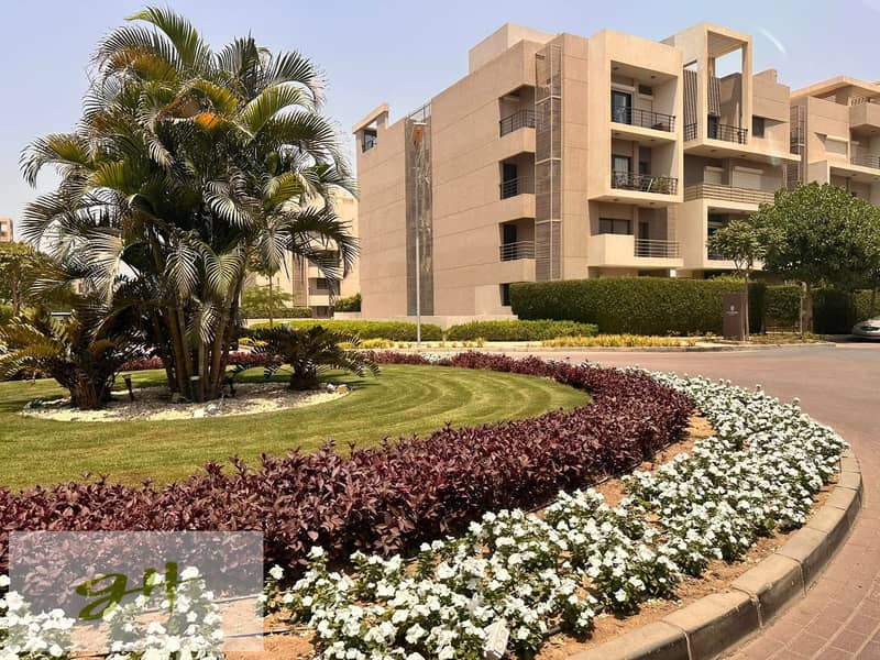 5 FB_IMG_1767437127285. jpg