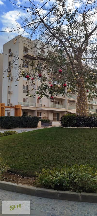 دوبلكس 3 غرف نوم للبيع في القاهرة الجديدة، القاهرة - IMG_٢٠٢٥١٢٢٩_١٦١٢٣٨. jpg