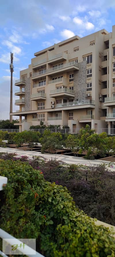 3 Bedroom iVilla for Sale in New Cairo, Cairo - IMG_٢٠٢٥١٢٢٩_١٦١٨٢٨. jpg