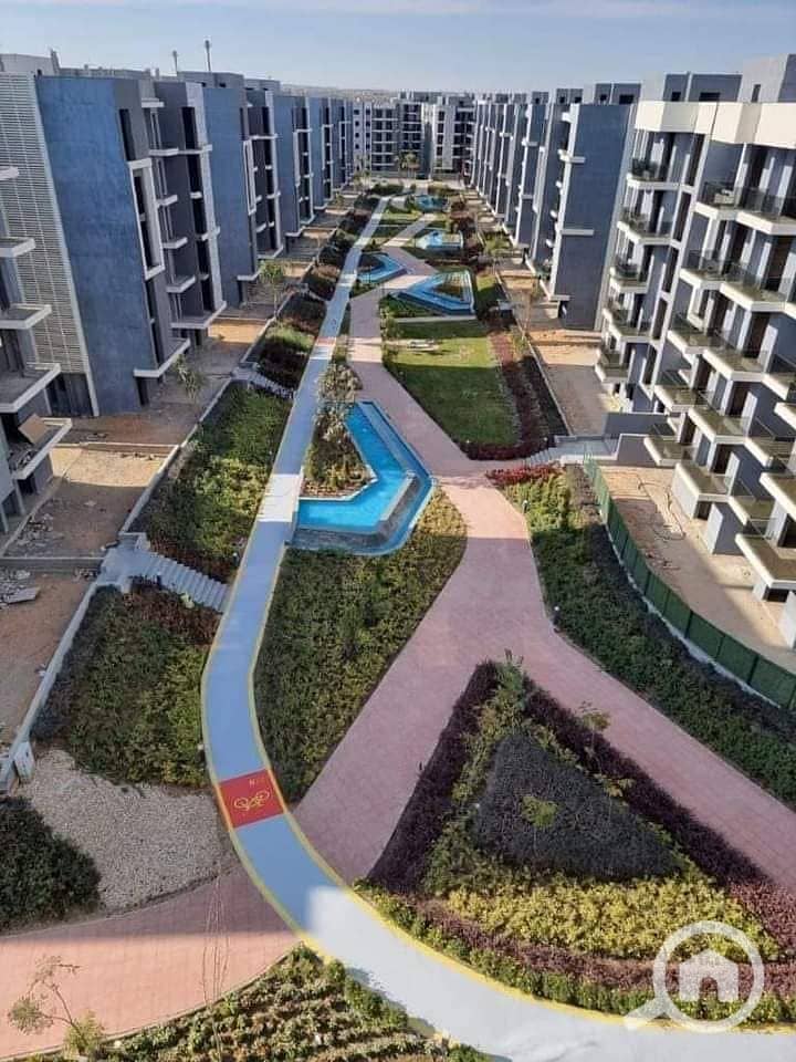 11 441149102_122172184520022520_3101549184179460782_n. jpg