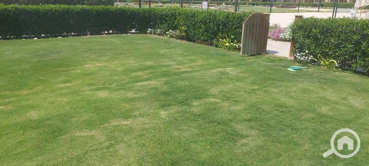 10 WhatsApp Image 2026-01-15 at 12.25. 26 PM (1). jpeg