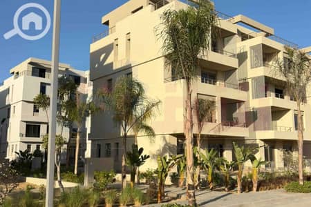 3 Bedroom Flat for Sale in Amreya, Alexandria - WhatsApp Image 2025-11-15 at 2.21. 30 PM (2). jpg