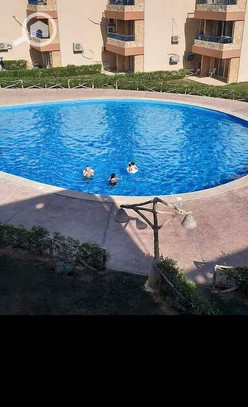 3 WhatsApp Image 2026-01-15 at 12.34. 04 PM (2). jpeg