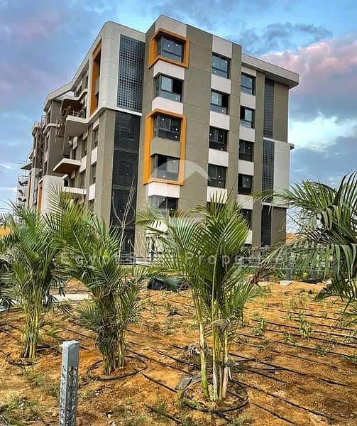 9 615400647_122118516339066873_3268749274090415149_n. jpg