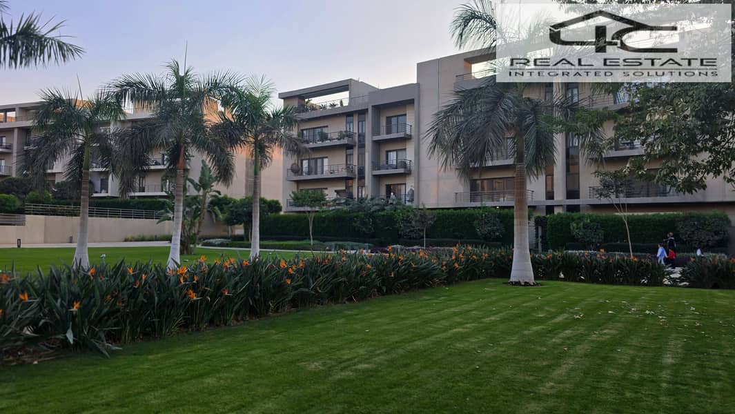 9 20251117_162349. jpg