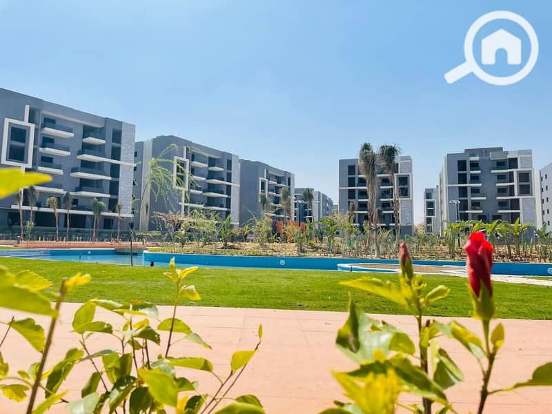 5 8e417d33-5b98-48ea-9f00-6d292515a203. jpg