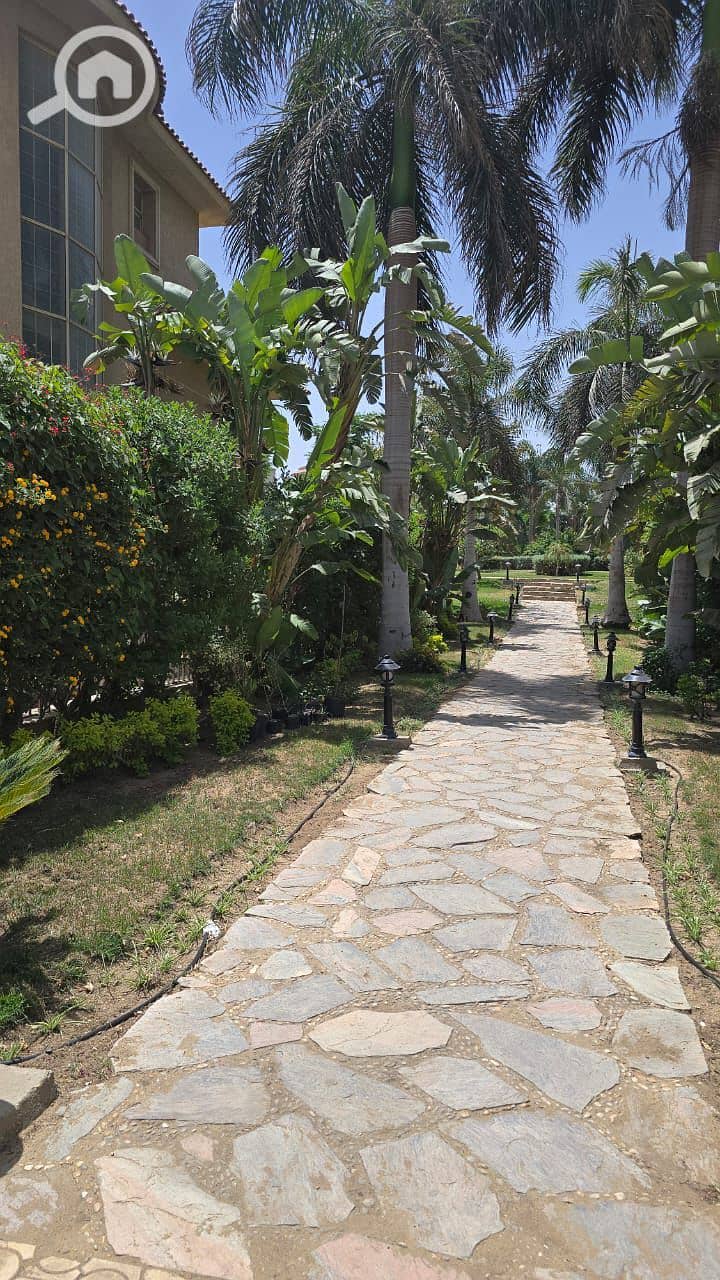 11 WhatsApp Image 2025-07-23 at 10.58. 13 AM. jpeg