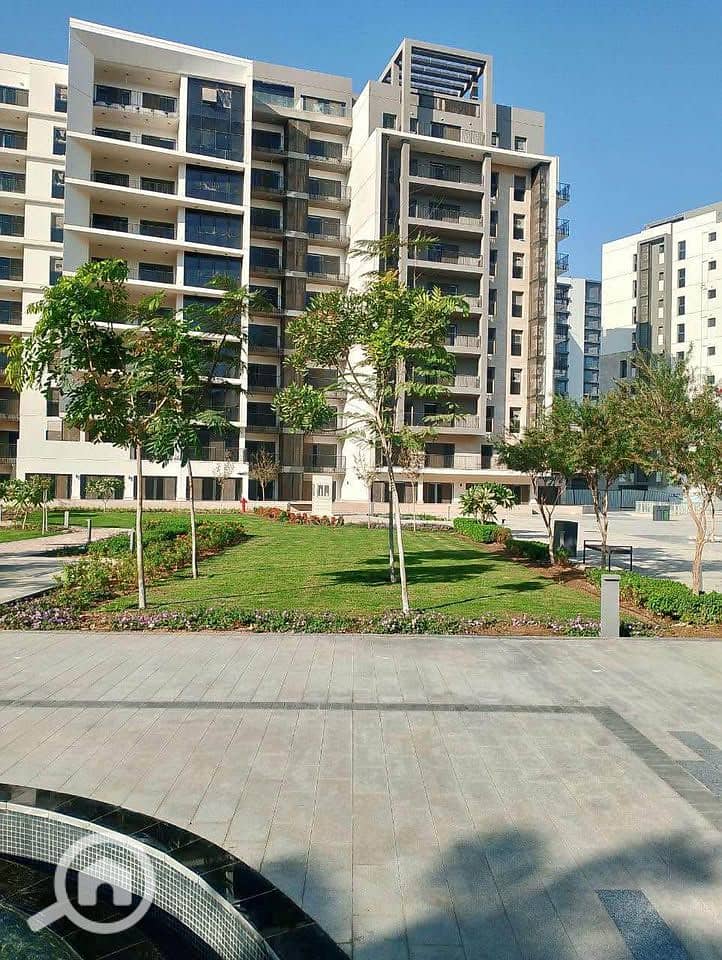 12 540512712_2467888536917734_7632821200816926016_n. jpg