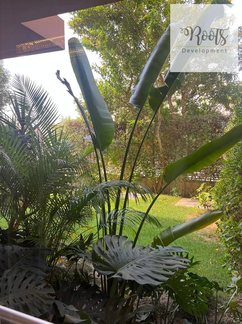 8 WhatsApp Image 2025-09-30 at 1.08. 30 AM (2). jpeg