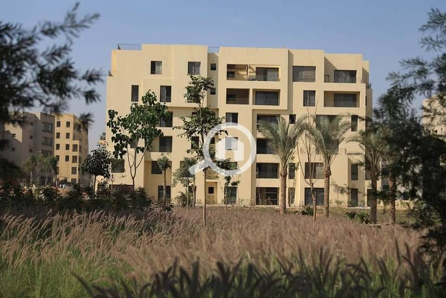 8 539658253_1114010240670785_4162968533831715315_n. jpg