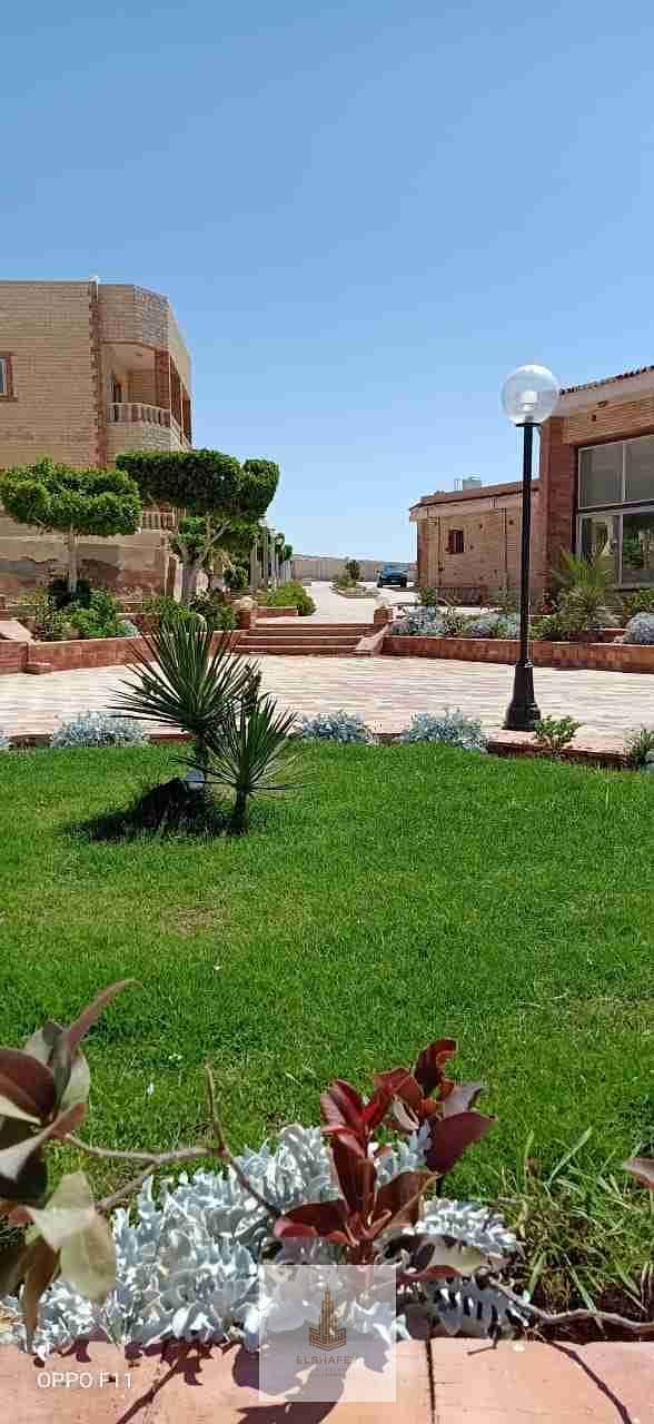 6 IMG-20260103-WA0021. jpg