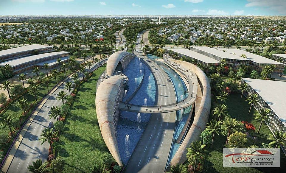 8 429649835_122164135736023720_4816553214481151205_n. jpg