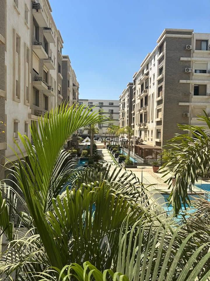 5 565067946_10163844159677042_7616984765304020225_n. jpg