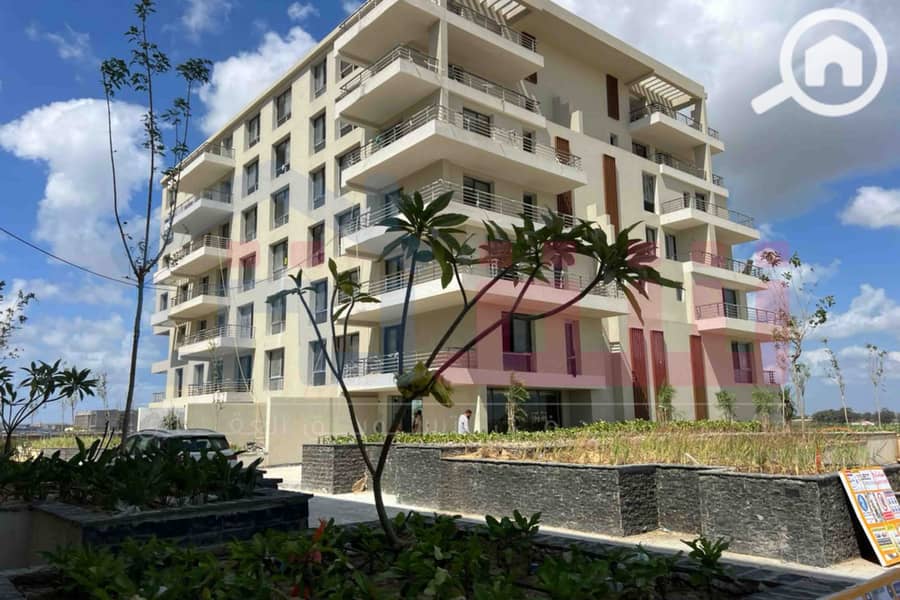 5 WhatsApp Image 2025-08-24 at 13.39. 11_616dfc4c. jpg