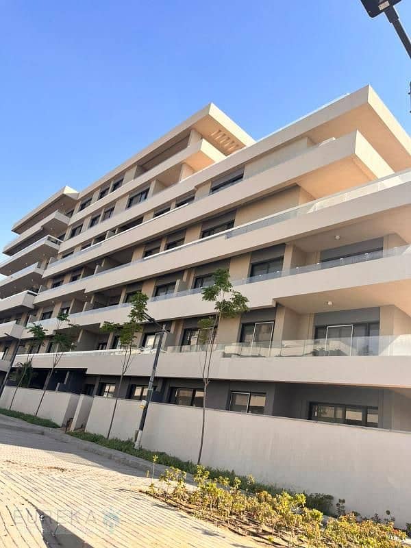 5 original-ADCE3F1B-33E0-4DC2-AEDD-14A5ABBA1C46. jpg