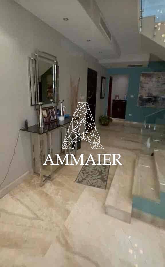 2 64cfdd73-cfb8-42be-ada8-f24dda5dab03. jpg