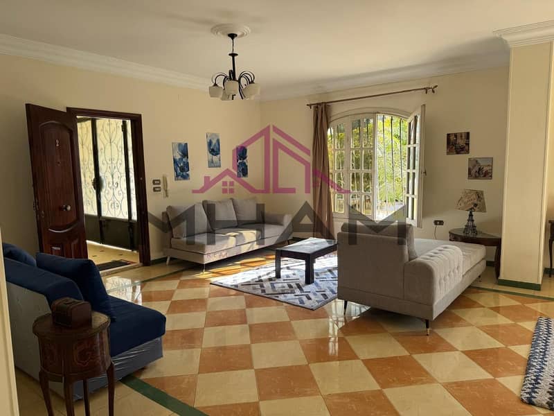 13 photo_5998831868469513097_y. jpg