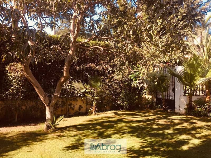 4 537477126_122104686566983312_8201928178242962748_n. jpg