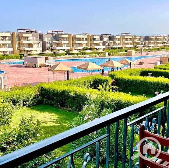 2 WhatsApp Image 2026-01-14 at 6.02. 42 PM. jpeg