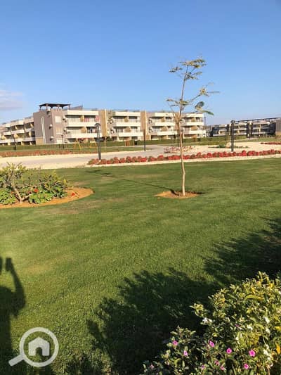 Chalet for Sale in Ain Sukhna, Suez - WhatsApp Image 2026-01-14 at 4.11. 22 PM. jpeg