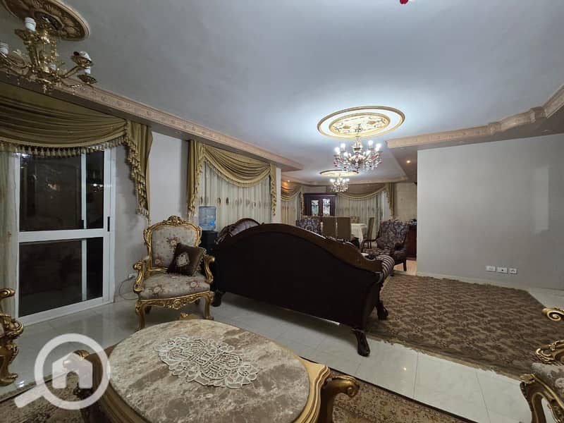 13 f6689449-3c54-40aa-9ce3-17ffe7e306c6. jpeg