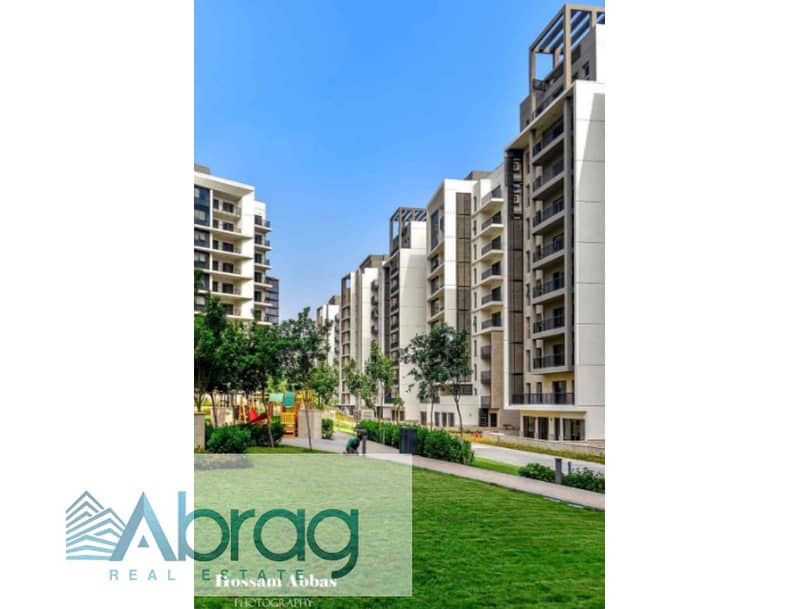 16 Screenshot 2025-07-10 at 13-42-55 Zed West Live Pictures 2025 1 . pdf. jpg