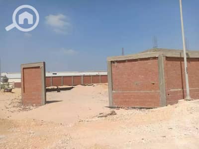 أرض سكنية  للبيع في مصر الجديدة، القاهرة - IMG_7383. webp