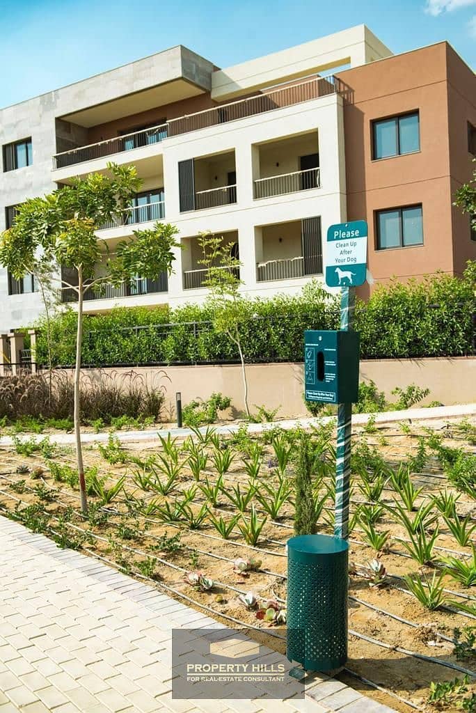 27 PHOTO-2026-01-12-21-19-17. jpg