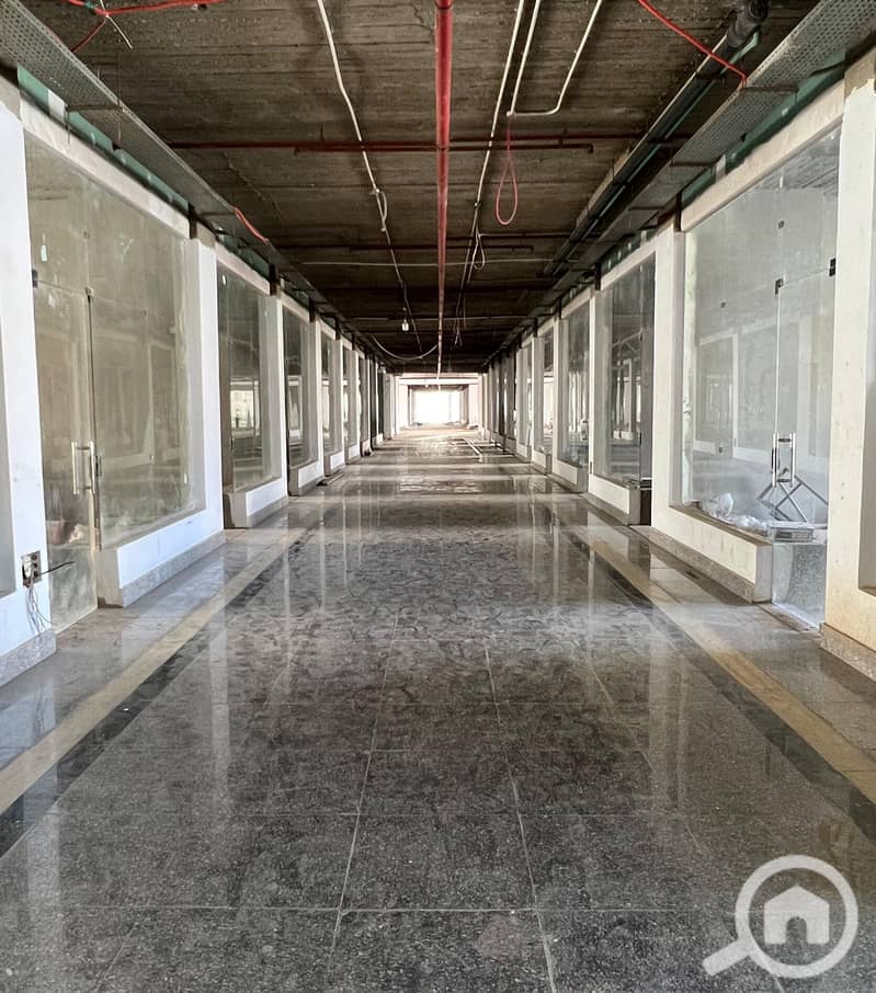 8 WhatsApp Image 2025-09-15 at 2.08. 57 PM (3). jpeg