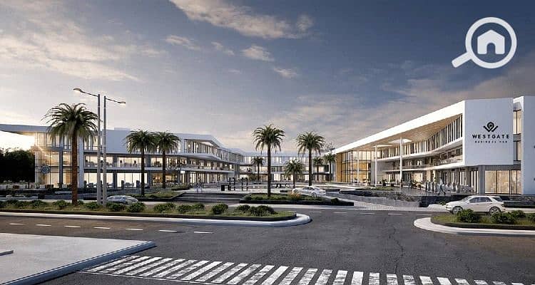 8 233b78c2-0579-4145-b12a-168ea12194df. jpg