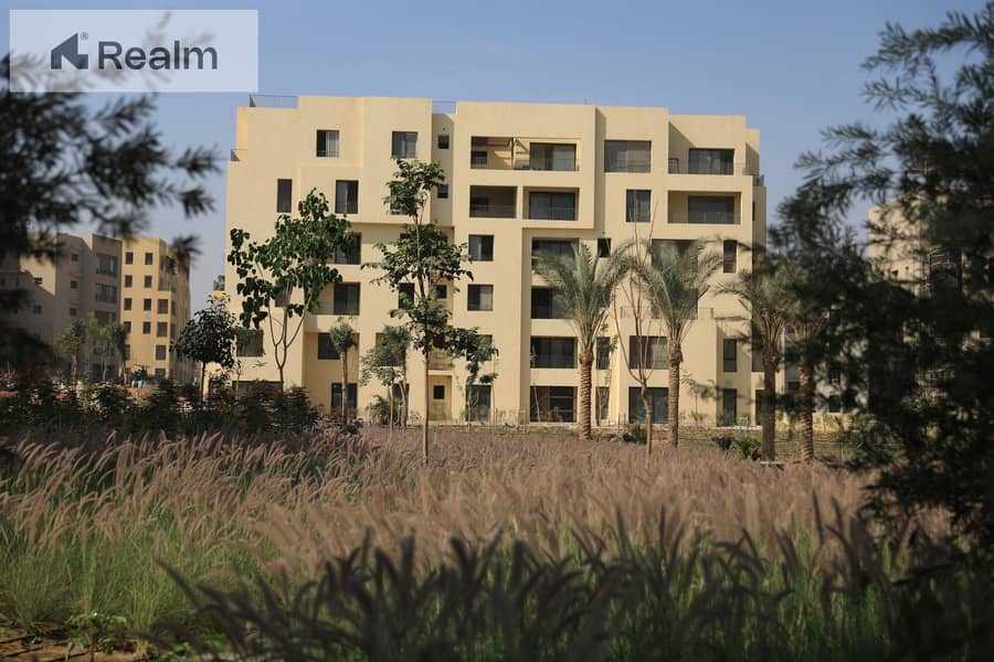 8 564599358_122227460432040943_2939967601065117085_n. jpg