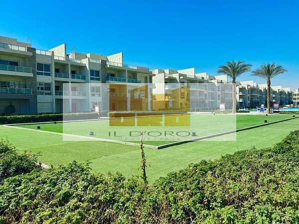 4 hanFWFadhXV4oamoLTa0DKvhLkcSQyXi5X8wSijP. jpeg