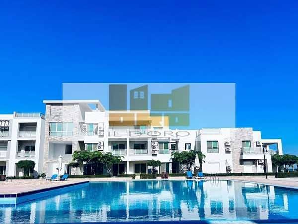 9 4P7WvG0jORo3TV8pK6GqqdsmmuojRJ4Ja4hcRd2a. jpeg