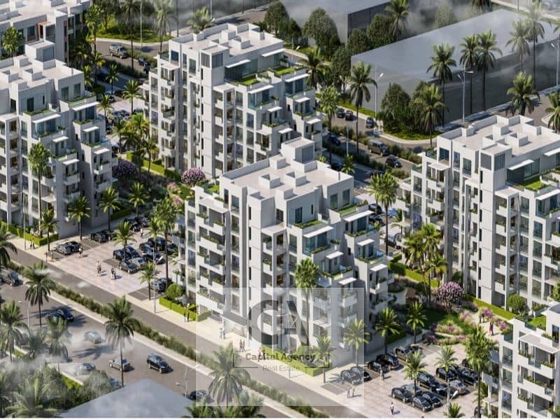 15 WhatsApp Image 2024-08-28 at 4.04. 53 PM. jpeg