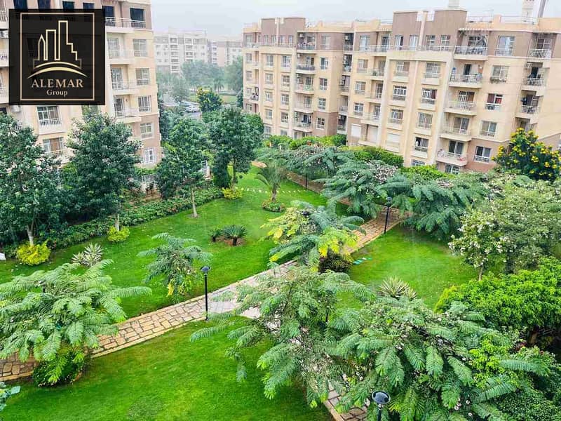 1000354708. jpg 1000354708. jpg