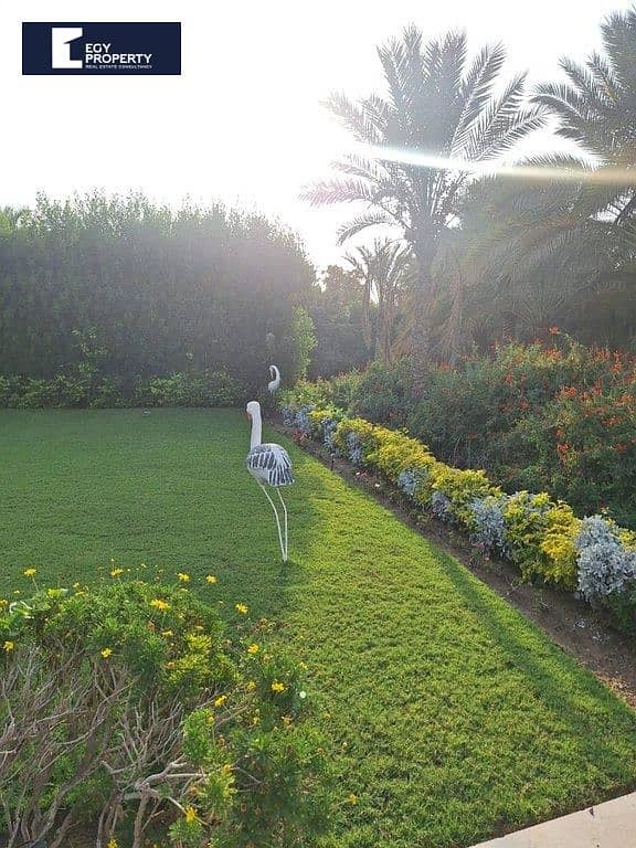 3 _files_IMG_447324ce53. jpeg