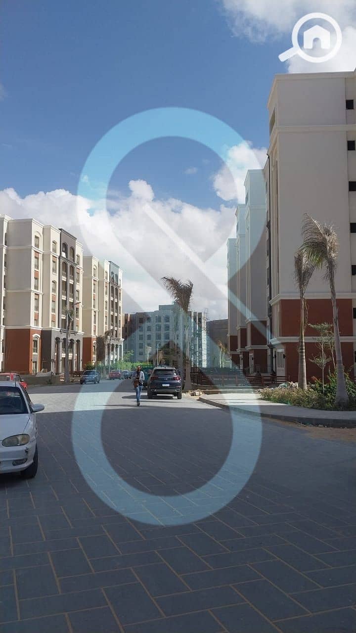 5 PHOTO-2026-01-14-15-31-35 9. jpeg