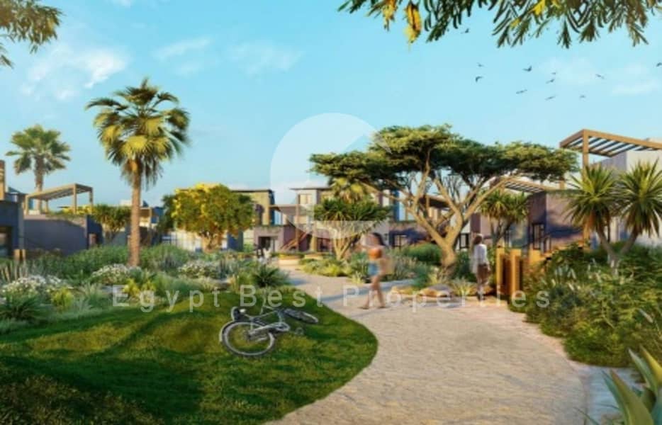 6 fb6586dda62b41bbaa6945d6000a3663. jpg