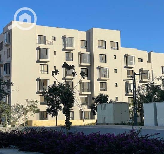 8 Screenshot (2444). png