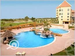 9 photo_2_2025-12-29_12-44-54. jpg