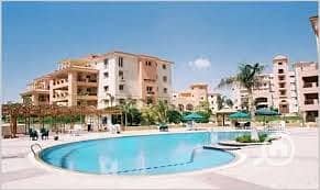 10 photo_3_2025-12-29_12-40-15. jpg