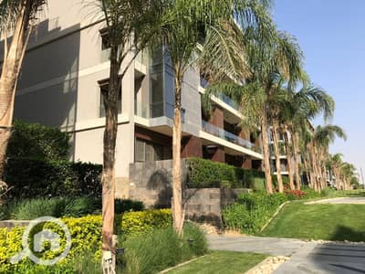 3 Bedroom Flat for Sale in New Cairo, Cairo - WhatsApp Image 2025-12-25 at 3.38. 33 PM. jpeg