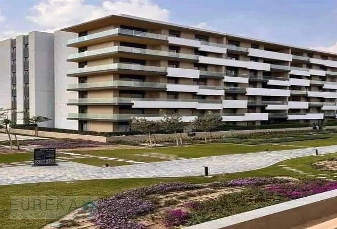 5 7252641-06dd6o. jpg