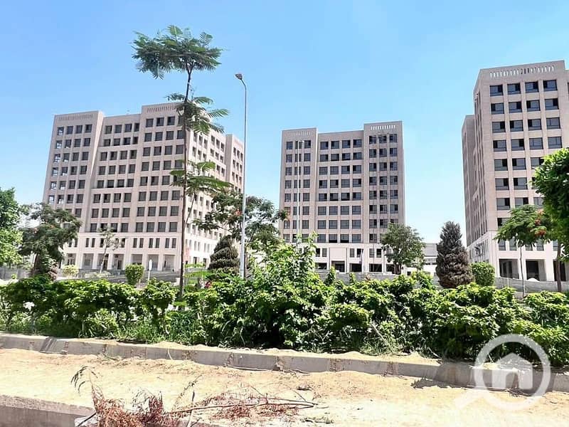 3 514377839_1240587603763829_3011475282264693798_n. jpg