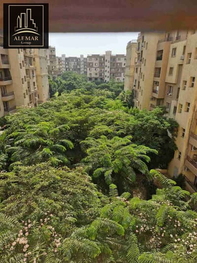 3 Bedroom Flat for Rent in Madinaty, Cairo - 1000045476. jpg