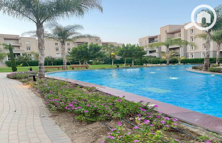 8 79568060-99ac-447d-be86-526fdca324c0_1400x900. jpg