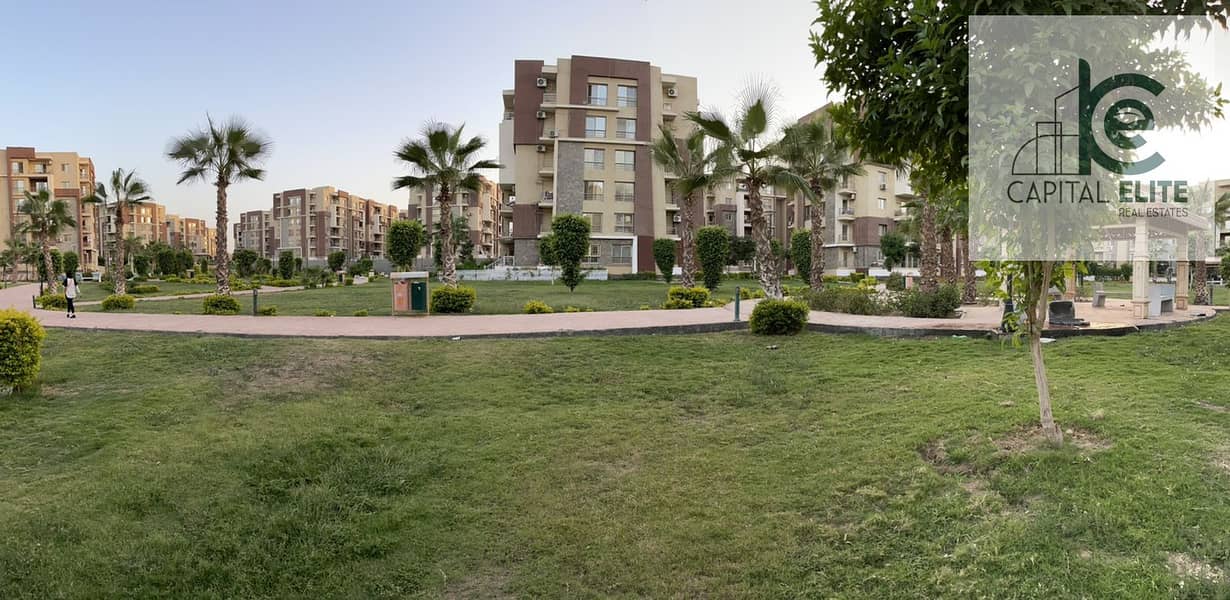 2 0cff5b0d-14eb-4c6f-b74c-260ca2d69bcf. jpg