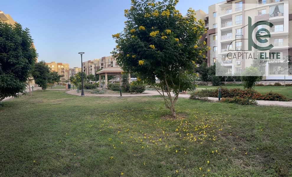 12 5f93dafb-ae5f-4f12-8e7e-517a24862a54. jpg