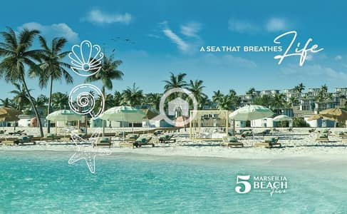 4 Bedroom Villa for Sale in North Coast, Matruh - WhatsApp Image 2025-11-08 at 2.31. 26 PM (1). jpeg