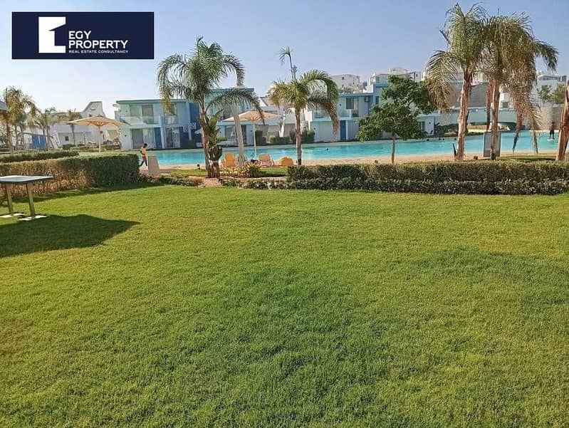 10 فوكا باي (3). jpg